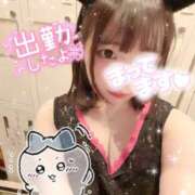 ヒメ日記 2025/05/12 15:02 投稿 るい VIVID CREW Pink Party Paradise