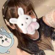 ヒメ日記 2025/05/29 14:30 投稿 るい VIVID CREW Pink Party Paradise