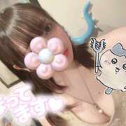 ヒメ日記 2025/07/26 15:11 投稿 るい VIVID CREW Pink Party Paradise