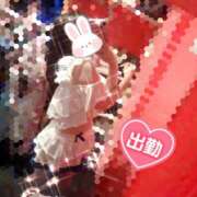 ヒメ日記 2025/07/28 14:47 投稿 るい VIVID CREW Pink Party Paradise