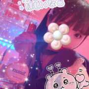 ヒメ日記 2025/08/08 14:07 投稿 るい VIVID CREW Pink Party Paradise