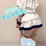 ヒメ日記 2025/08/18 05:33 投稿 るい VIVID CREW Pink Party Paradise