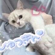 ヒメ日記 2025/08/20 14:17 投稿 るい VIVID CREW Pink Party Paradise