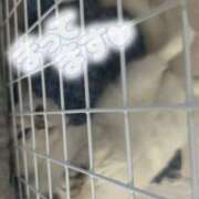 るい 本日19時から~~😺🐾💓 VIVID CREW Pink Party Paradise