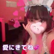 ヒメ日記 2025/12/27 16:16 投稿 るい VIVID CREW Pink Party Paradise