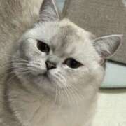 ヒメ日記 2026/01/04 01:35 投稿 るい VIVID CREW Pink Party Paradise