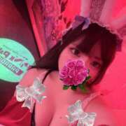 ヒメ日記 2026/01/09 16:14 投稿 るい VIVID CREW Pink Party Paradise