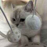 ヒメ日記 2026/01/12 04:45 投稿 るい VIVID CREW Pink Party Paradise