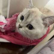 ヒメ日記 2026/02/23 00:00 投稿 るい VIVID CREW Pink Party Paradise