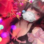 ヒメ日記 2026/02/25 16:11 投稿 るい VIVID CREW Pink Party Paradise