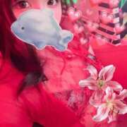 ヒメ日記 2026/03/11 23:12 投稿 るい VIVID CREW Pink Party Paradise