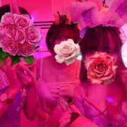 ヒメ日記 2026/03/12 19:29 投稿 るい VIVID CREW Pink Party Paradise