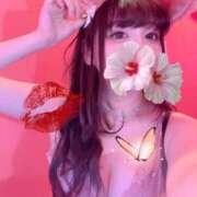 ヒメ日記 2026/03/14 19:00 投稿 るい VIVID CREW Pink Party Paradise