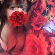 ヒメ日記 2026/03/26 23:43 投稿 るい VIVID CREW Pink Party Paradise