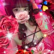 ヒメ日記 2026/03/31 17:45 投稿 るい VIVID CREW Pink Party Paradise