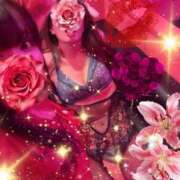 ヒメ日記 2026/04/03 17:21 投稿 るい VIVID CREW Pink Party Paradise