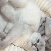 るい にゃんにゃんにゃん(  ꜆^.  ̫.^)꜆💕 VIVID CREW Pink Party Paradise