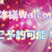 ヒメ日記 2026/06/11 21:45 投稿 るい VIVID CREW Pink Party Paradise