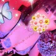 ヒメ日記 2026/06/18 15:00 投稿 るい VIVID CREW Pink Party Paradise