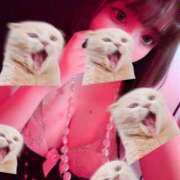 ヒメ日記 2026/06/18 18:20 投稿 るい VIVID CREW Pink Party Paradise
