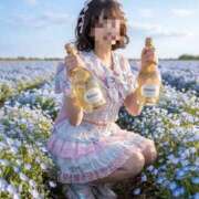 ヒメ日記 2026/06/24 20:11 投稿 るい VIVID CREW Pink Party Paradise
