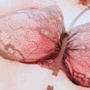 ヒメ日記 2025/03/20 08:17 投稿 ふみ 欲求不満な人妻の願望～何度も欲しがる淫乱妻～