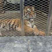 ヒメ日記 2025/06/07 17:18 投稿 えれな シークレットサービス