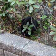 ヒメ日記 2025/01/07 12:43 投稿 えいみ 大高・大府市・東海市ちゃんこ