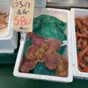 ヒメ日記 2025/01/25 14:13 投稿 えいみ 大高・大府市・東海市ちゃんこ