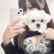 ヒメ日記 2024/12/14 17:35 投稿 らん BIKINISPA「真」-ビキニスパ-