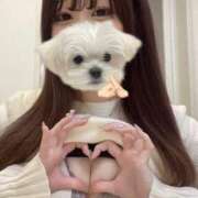 ヒメ日記 2024/12/18 19:15 投稿 らん BIKINISPA「真」-ビキニスパ-