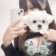 ヒメ日記 2025/03/23 11:57 投稿 らん BIKINISPA「真」-ビキニスパ-