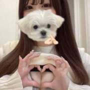 ヒメ日記 2025/03/30 12:55 投稿 らん BIKINISPA「真」-ビキニスパ-