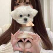 ヒメ日記 2025/10/11 20:45 投稿 らん BIKINISPA「真」-ビキニスパ-