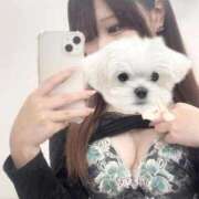 ヒメ日記 2026/01/16 21:19 投稿 らん BIKINISPA「真」-ビキニスパ-