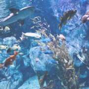 ヒメ日記 2025/02/12 17:40 投稿 冬月 きらら club eyes