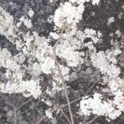 冬月 きらら 今日はっ club eyes