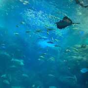 冬月 きらら すみません( .. ) club eyes