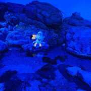 冬月 きらら 久しぶりです🥺 club eyes