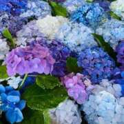 冬月 きらら ごめんなさい💦 club eyes