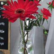 ヒメ日記 2024/12/23 20:38 投稿 りえこ 池袋で熟女の風俗 マダムいやーん