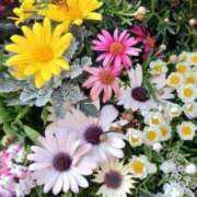 ヒメ日記 2025/04/15 09:03 投稿 りえこ 池袋で熟女の風俗 マダムいやーん