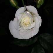 ヒメ日記 2025/08/13 09:15 投稿 りえこ 池袋で熟女の風俗 マダムいやーん