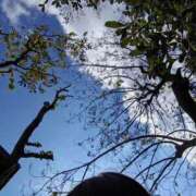 りえこ おはようございます☺️ 池袋で熟女の風俗 マダムいやーん