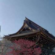 ヒメ日記 2026/01/27 18:40 投稿 りえこ 池袋で熟女の風俗 マダムいやーん