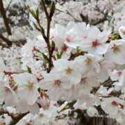 ヒメ日記 2026/03/12 00:23 投稿 りえこ 池袋で熟女の風俗 マダムいやーん