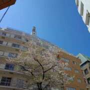 ヒメ日記 2026/04/08 22:28 投稿 りえこ 池袋で熟女の風俗 マダムいやーん