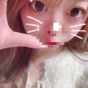 ヒメ日記 2025/01/31 12:35 投稿 のら 素人しか勝たん！柏店（超恋人型空間デリヘル）