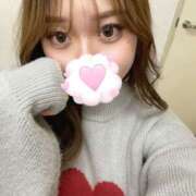 ヒメ日記 2025/02/20 02:30 投稿 のら 素人しか勝たん！柏店（超恋人型空間デリヘル）