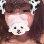 ヒメ日記 2025/04/29 18:33 投稿 あいり ぷよラブ れぼりゅ～しょん